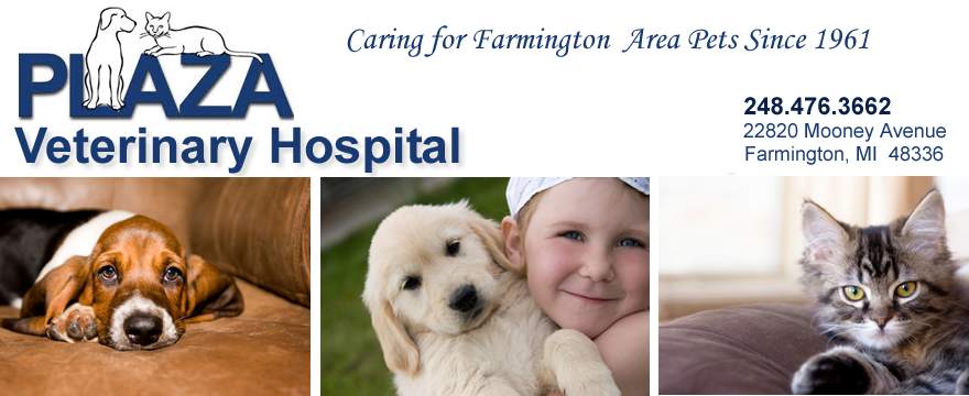 Welcome to Plaza Veterinary Hospital, 
located in Farmington, Michigan!